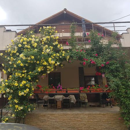 Casa Delia Calimanesti Exterior foto