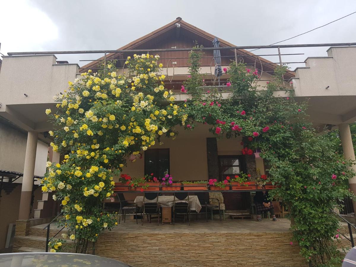 Casa Delia Calimanesti Exterior foto