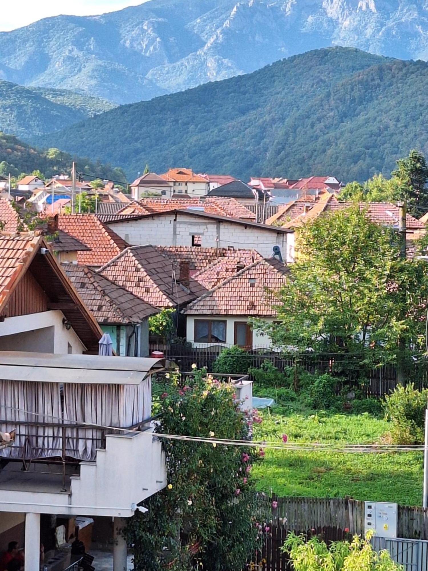 Casa Delia Calimanesti Exterior foto
