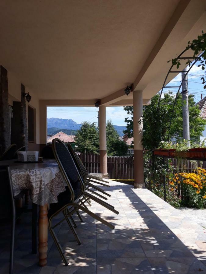 Casa Delia Calimanesti Exterior foto
