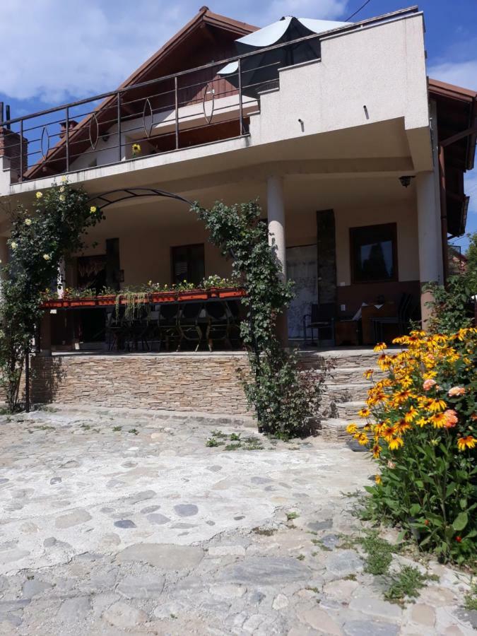 Casa Delia Calimanesti Exterior foto